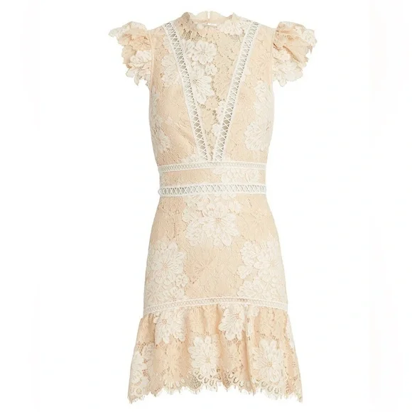 SAYLOR
Kelly Lace Mini Dress (D2) - Picture 2 of 11